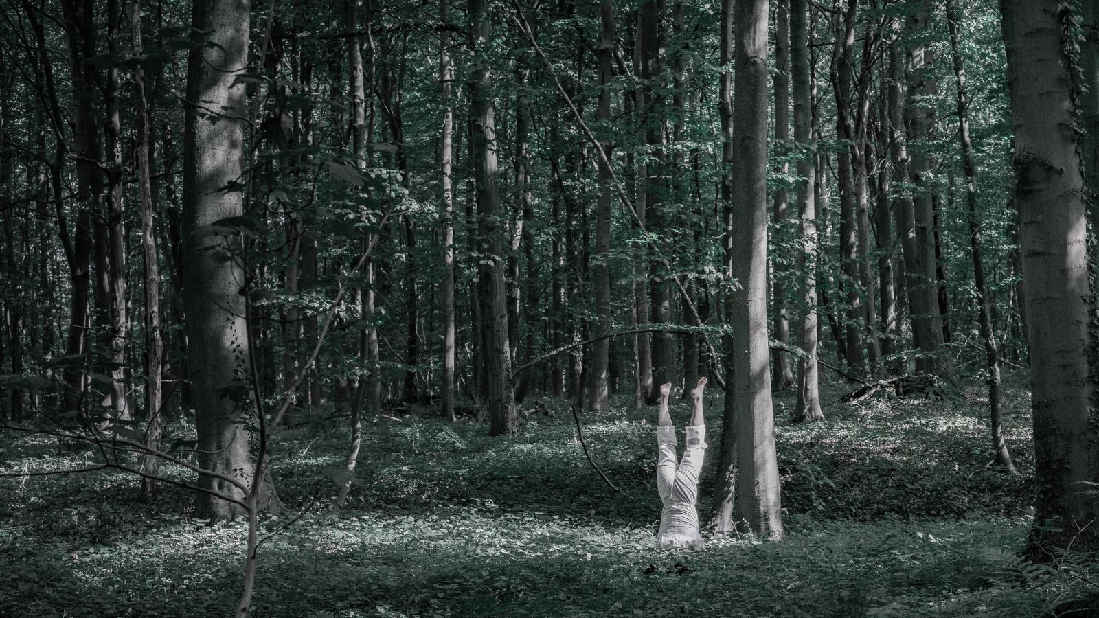 ce qui fleurit dans le silence